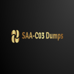 SAA-C03 Dumps